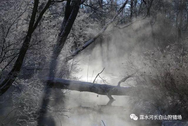 影视工厂