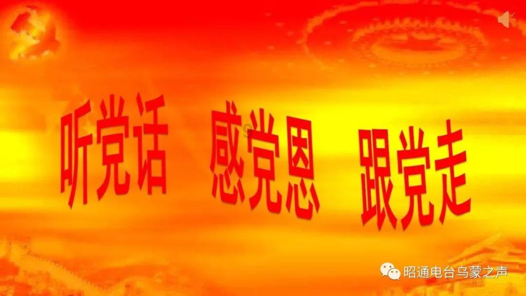 春雨直播app